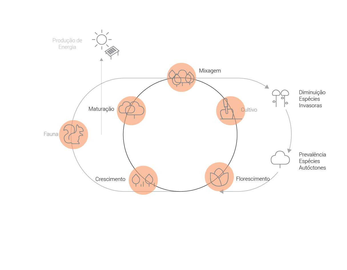 cycles 1 01